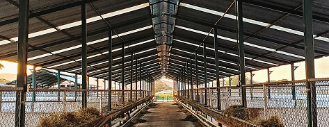 Тваринницький комплекс